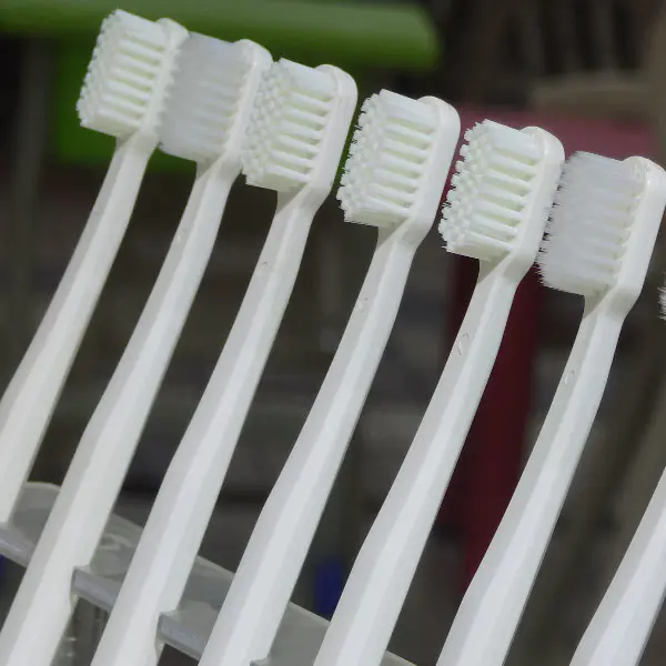 Starch Based Bio Based Plastic